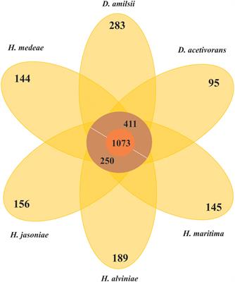 Genome Sequence of Desulfurella amilsii Strain TR1 and Comparative Genomics of Desulfurellaceae Family